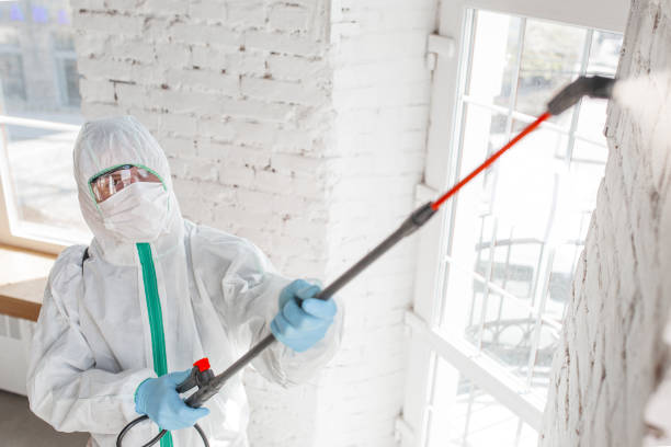 Best Mold Removal for HVAC Installations  in Washington, WV