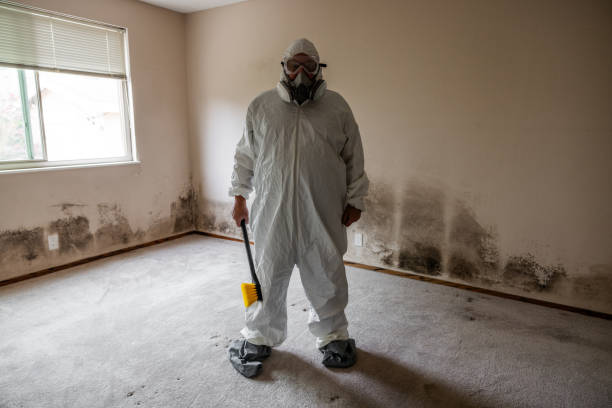 Forensic Mold Investigation in Washington, WV